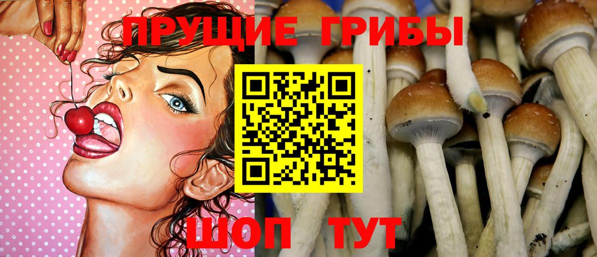 Галлюциногенные грибы мухоморы Гатчина