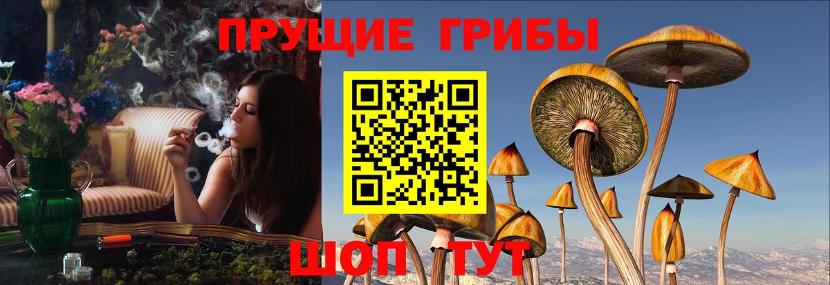 Гатчина  Галлюциногенные грибы мухоморы  Вход с VPN 