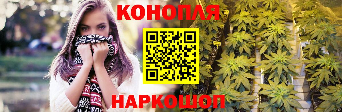 Гатчина  Канабис Ganja  Бошки марихуана Bruce Banner  Каннабис тримм  Конопля индика  Вход с VPN 
